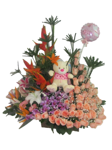 NACIMIENTO TROPICAL GARDEN